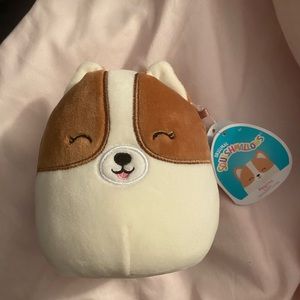 BNWT 5” Regina Squishmallow